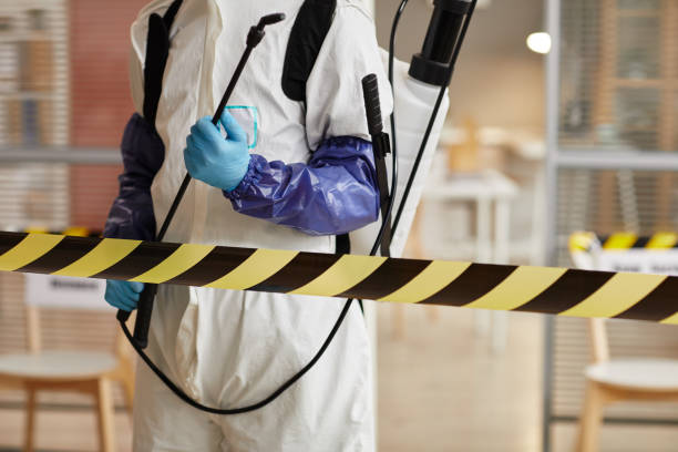 Professional Sewage Cleanup technician working in Morgan Hill, PA